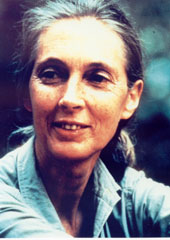 Jane Goodall